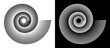 Spiral with lines as icon or logo. Black illustration isolated on the white background and the same vector white on black background.