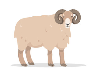 Wall Mural - Ram icon. Farm animal. Wool production. Male sheep isolated on white background. Vector flat or cartoon illustration.