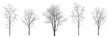 Set of 5 winter various snowed trees isolated png on a transparent background perfectly cutout 