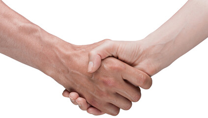 Poster - Business handshake and business people on background