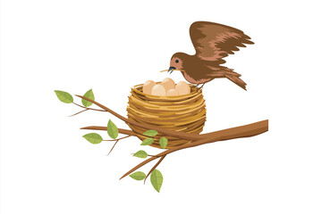 Wall Mural - bird's nest on a tree branch. bird eggs in the nest