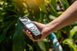 © Aoy_Charin - Light meter, Lux Light Meter in hand while measuring light intensity quantity and the brightness of the light suitable for the tree. soft and selective focus.