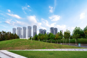 Wall Mural - beautiful meadow in the park