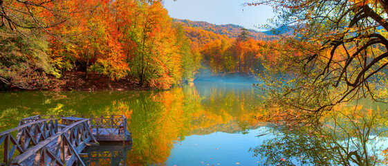 Poster - Autumn forest landscape reflection on the water with wooden pier - Autumn landscape in (seven lakes) Yedigoller Park Bolu, Turkey