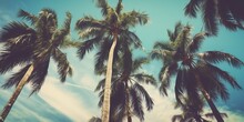 Summer Landscape Of Palm Trees And Sky In Retro Style.Colorful Summer Template. Concept Of Recreation. Generative AI