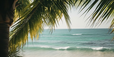 Poster - Summer picture of the sun's rays breaking through the leaves of a palm tree.Colorful summer template. Concept of recreation. Generative AI