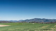 Wanderweg gesäumt von Feldern, Wiesen und grünen Weiden zum Eichener see mit Panoramablick auf die Schwarzwaldberge
