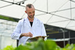 © Prathankarnpap - Caucasian male agricultural researcher holding clipboard, supervising organic vegetable in greenhouse
