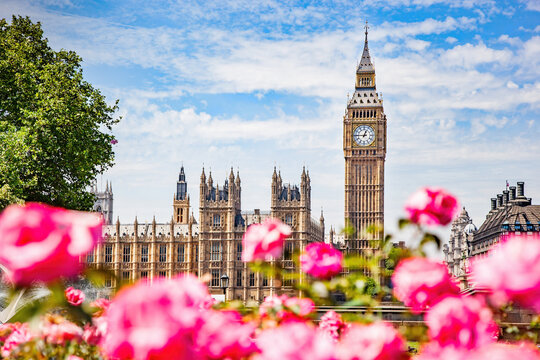 Wall Mural -  - Big Ben, the Palace of Westminster in London, UK seen from public garden with flowers