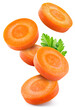 Carrot slice isolated. Carrots with parsley flying on white background. Perfect retouched carrot slices isolate. Full depth of field.
