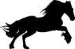 horse icon,silhouette,vector,illustration