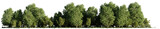 Fototapeta Przestrzenne - landscape with trees and bushes, isolated on transparent background panorama banner