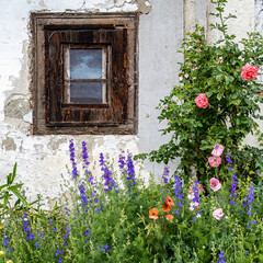 Blumenfenster