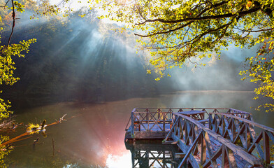 Poster - Autumn forest landscape reflection on the water with wooden pier - Autumn landscape in (seven lakes) Yedigoller Park Bolu, Turkey
