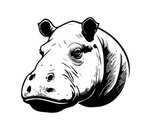 Hippopotamus Face, Silhouettes Hippopotamus Face SVG, Black And White Hippo Vector