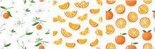 Orange Pattern. Seamless Print With Cartoon Tropical Sweet Tangerine Fruits, Cartoon Background With Nature Organic Citrus. Vector Texture
