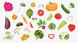 vector vegetables on a white background.