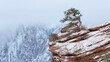 A rugged mountain landscape in winter from Zion Nat. park in Southern Utah, USA, with snow covered red sandstone, low hanging clouds and a gnarled juniper tree growing on the edge of a rocky outcrop. 
