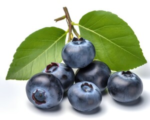 Wall Mural - Blueberry isolated. Blueberry with leaves on white. Bilberry on white background. Full depth of field. created with Generative AI technology