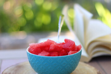 bowl with cut watermelon and open book in the garden. selective focus.