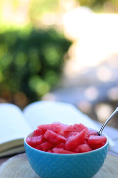 bowl with cut watermelon and open book in the garden. selective focus.