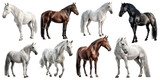 Fototapeta Konie - Horse set over png background created with Ai