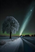 Cold Winter Night Starry Clear Skies No Moon Photography Leica Lens Wide Angle Tree Earth Crossing Tail Of Nearby Giant Green Comet Ztf In 2023 