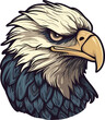 Bald eagle head, isolated on white background, usable for mascot, shirt, t shirt, icon, logo, label, emblem, tatoo, sign, poster, Vintage, emblem design. Vector illustration