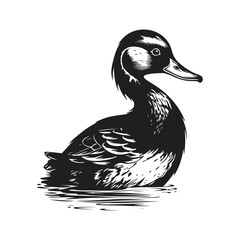 Wall Mural - duck, vintage logo concept black and white color, hand drawn illustration