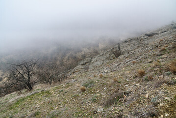 Wall Mural - Landscape of Karadag Reserve in spring. View of mountains in fog and clouds. Crimea