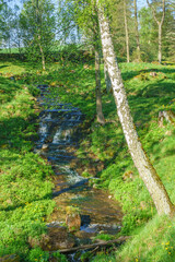 Sticker - Waterfall in a ravine in a pasture