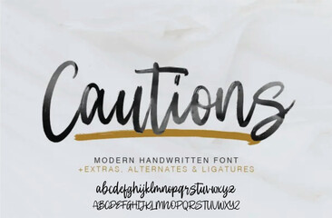 signature Font Calligraphy Logotype Script Brush Font Type Font lettering handwritten	