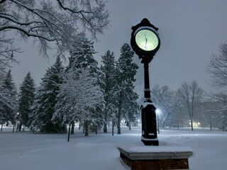 Canvas Print - Campus clock in snow covered park with dense trees