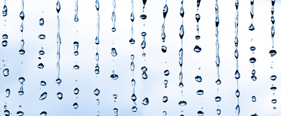 Wall Mural - Macro photography of rain, abstract photography