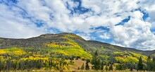 Beautiful Scene Of Aspen Trees Under Green Mountains With Cloudy Sky In Fishlake National Forest