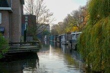 Floating Houses In The Canals Of Amsterdam In The Netherlands With Colorful Trees Around Them
