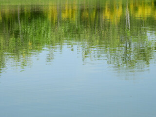 Canvas Print - view of water reflection of tree with blue sky background