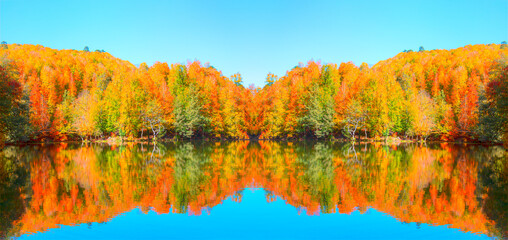 Wall Mural - Abstract mirror effect of Autumn landscape in (seven lakes) Yedigoller Park Bolu, Turkey