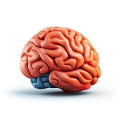 3d design of human brain over white background. generative ai.