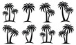 © Nayem Pro - Black Palm Trees Set Isolated On White Background. Palm Silhouettes. Design Of Palm Trees For Posters, Banners And Promotional Items. Vector Illustration.  Palm Icon On White Background