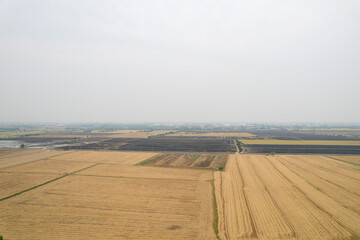 Wall Mural - aerial view from flying drone of Field rice with landscape green pattern nature background, top view field rice