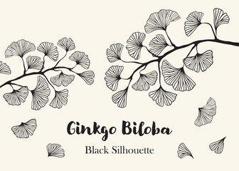 Hand drawn Silhouette of twig of ginkgo biloba tree isolated on white, Hand drawn ginkgo biloba set, Hand drawn line silhouette ginkgo biloba tree, hand drawn japanese vector flower line silhouette