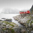 Landschaft mit Fjord und roten Häusern der Stadt Hamnøy auf den Lofoten in Norwegen