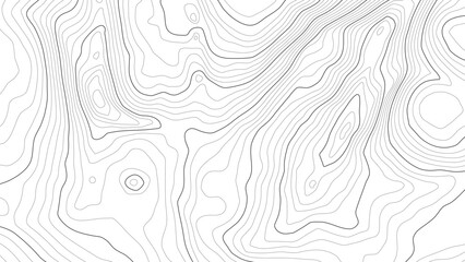 Wall Mural - the stylized height of the topographic contour in lines and contours. сoncept of a conditional geogr