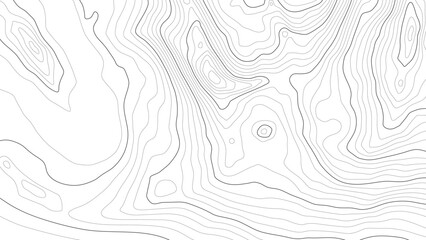 Wall Mural - the stylized height of the topographic contour in lines and contours. сoncept of a conditional geogr