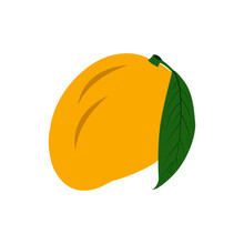 Ripe Yellow Mango Fruit Vector Cartoon Clipart Illustrations Isolated On White Background. 