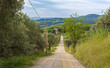 Tuscany spring landscape along the historic route Francigena between Gambassi Terme and San Gimignano medieval town, Tuscany, central Italy - Europe