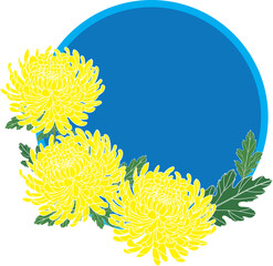 Wall Mural - Illustration of Yellow Chrysanthemum flower with leaf on blue circle background.