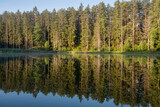 Fototapeta Most - Lake in the forest