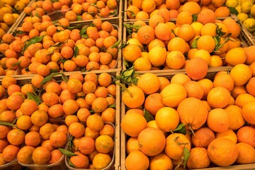 Sticker - Closeup of bunch of oranges and mandarins in market